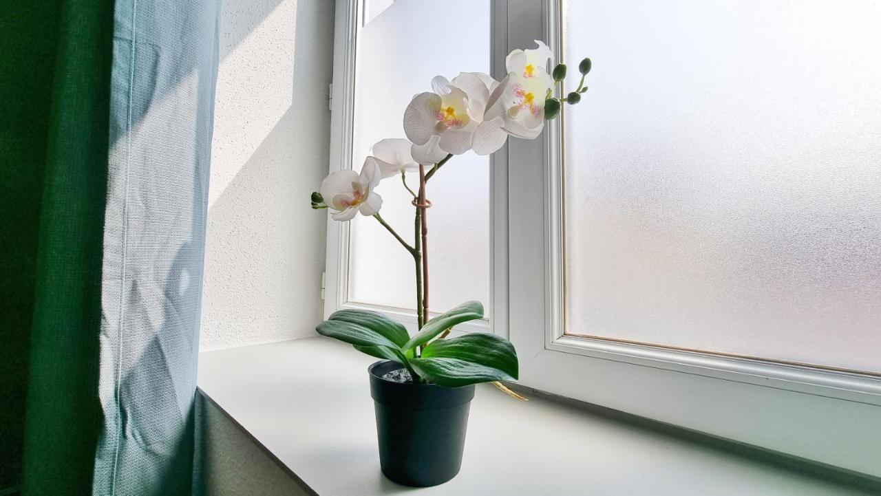 Chez Jm - Calme - Chic - Fibre - Relax Bnb ミュルーズ エクステリア 写真