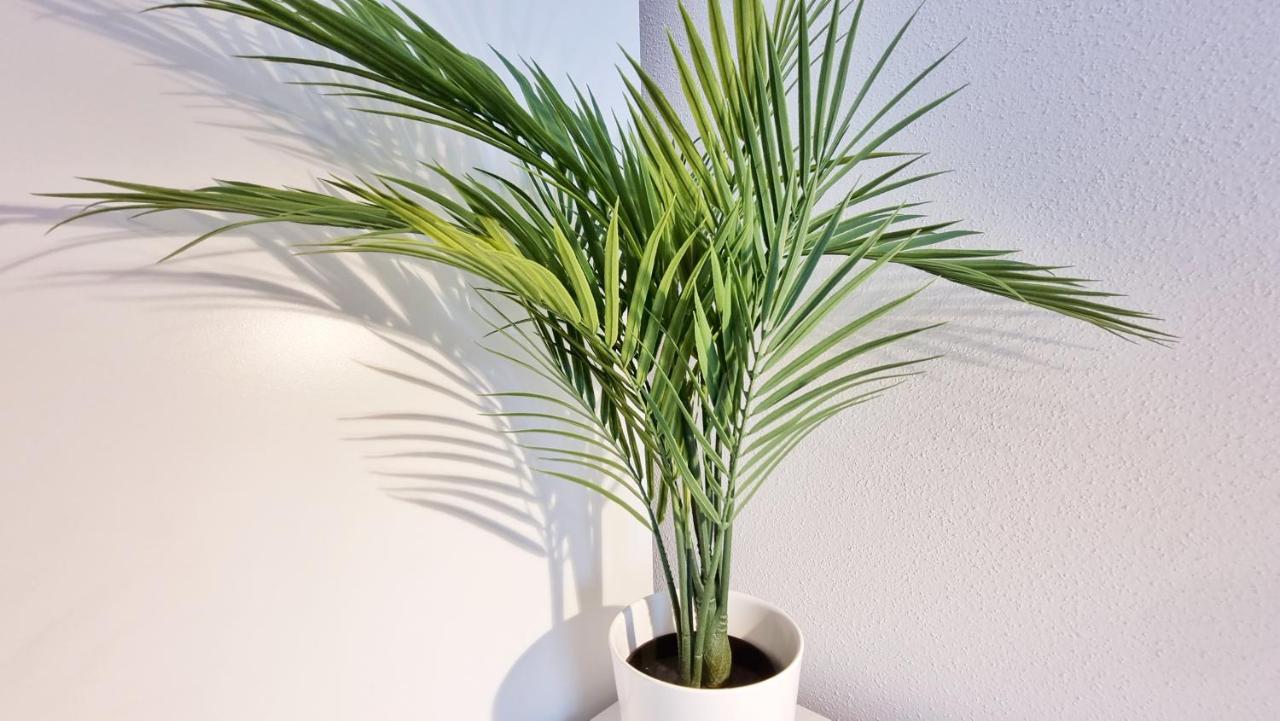 Chez Jm - Calme - Chic - Fibre - Relax Bnb ミュルーズ エクステリア 写真